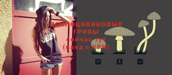 СК Абаза